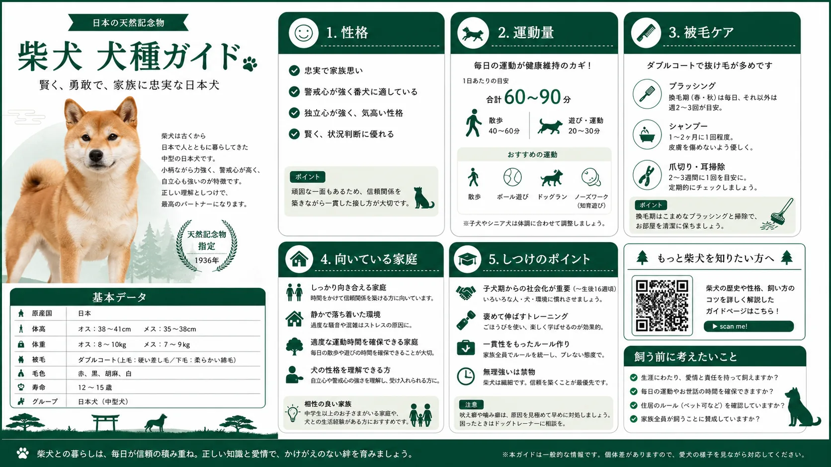 柴犬犬種ガイド