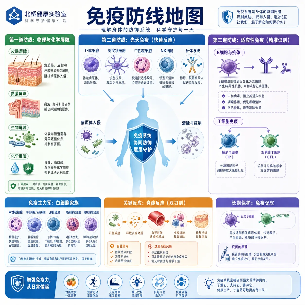 北桥健康免疫防线地图